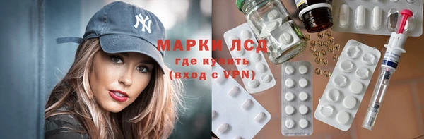 ПСИЛОЦИБИНОВЫЕ ГРИБЫ Верея
